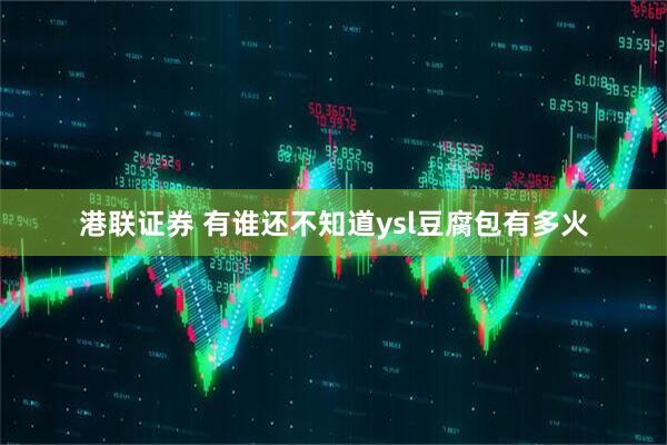港联证券 有谁还不知道ysl豆腐包有多火