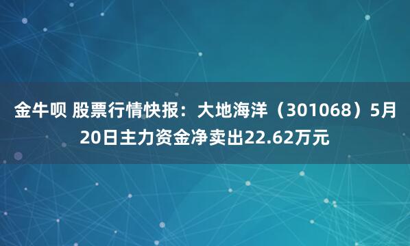 金牛呗 股票行情快报：大地海洋（301068）5月20日主力资金净卖出22.62万元