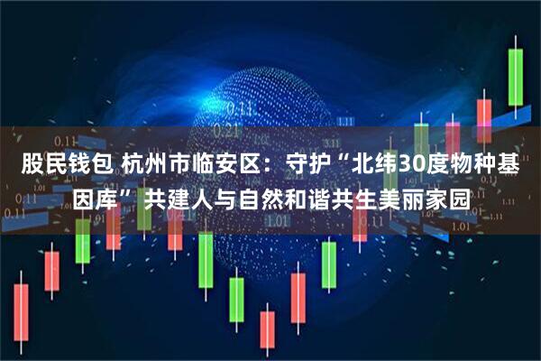 股民钱包 杭州市临安区：守护“北纬30度物种基因库” 共建人与自然和谐共生美丽家园